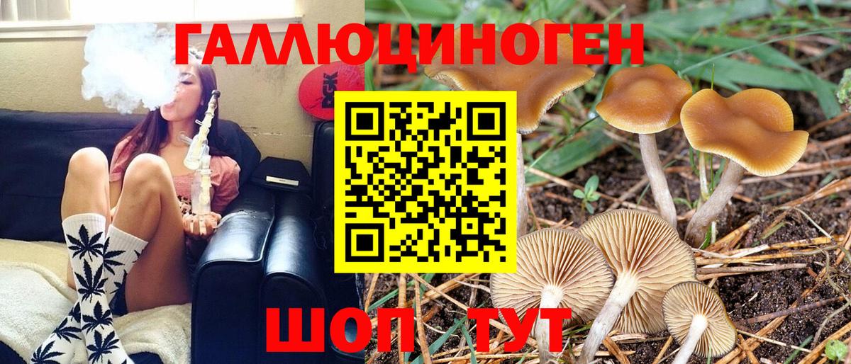 Псилоцибиновые грибы GOLDEN TEACHER Назарово