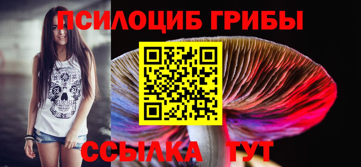 купить  цена  Вход с VPN  Галлюциногенные грибы Psilocybine cubensis  Назарово  Галлюциногенные грибы Psilocybine cubensis 
